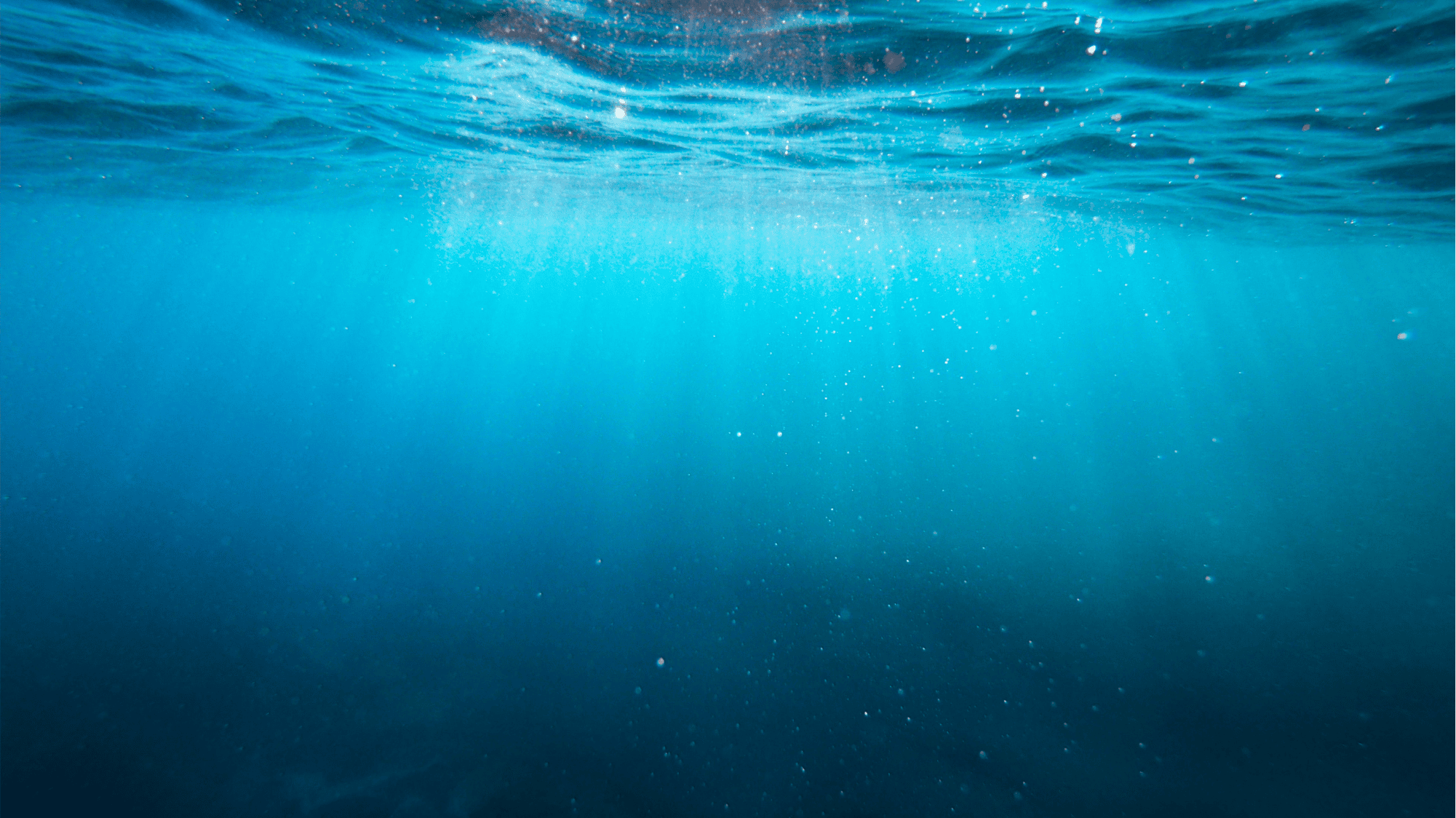 Are you ready for the CSRD compliance deadline? The CSRD platform has you covered!