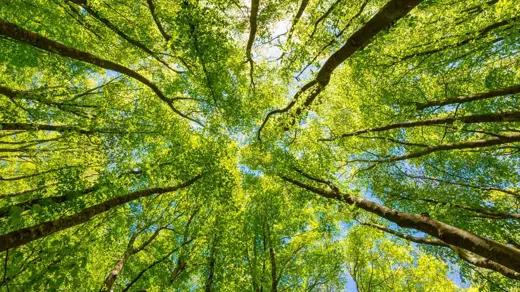 Holtara launches new platform to help businesses meet  CSRD requirements ahead of January compliance deadline