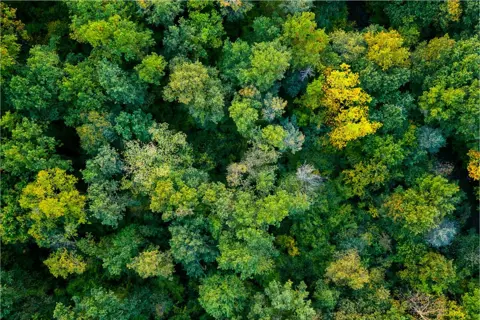 Nature and biodiversity