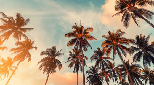 Understanding California’s climate disclosure regulation