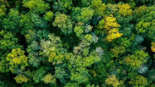 Beyond ESG: Why impact investing is gaining ground in an era of changing regulation and investor sentiment